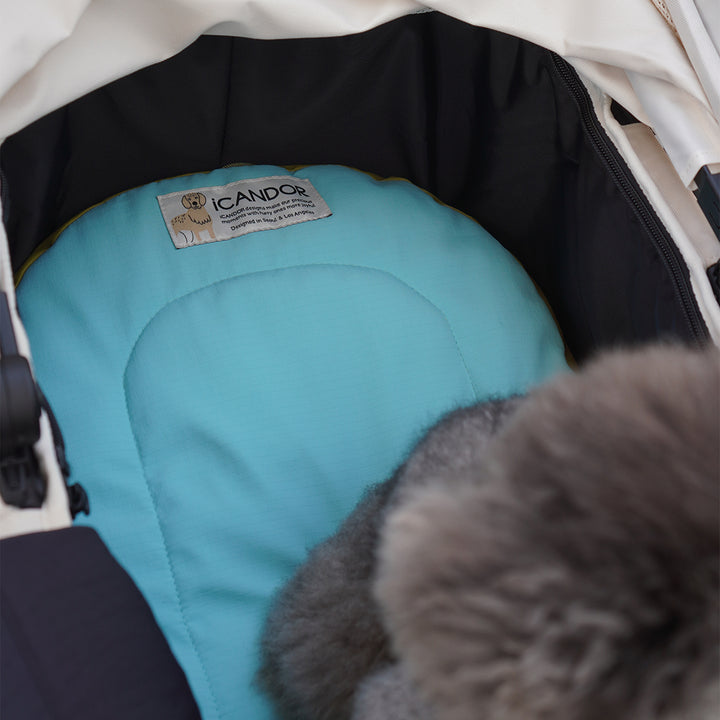 Urban Nest Cushion_Mint