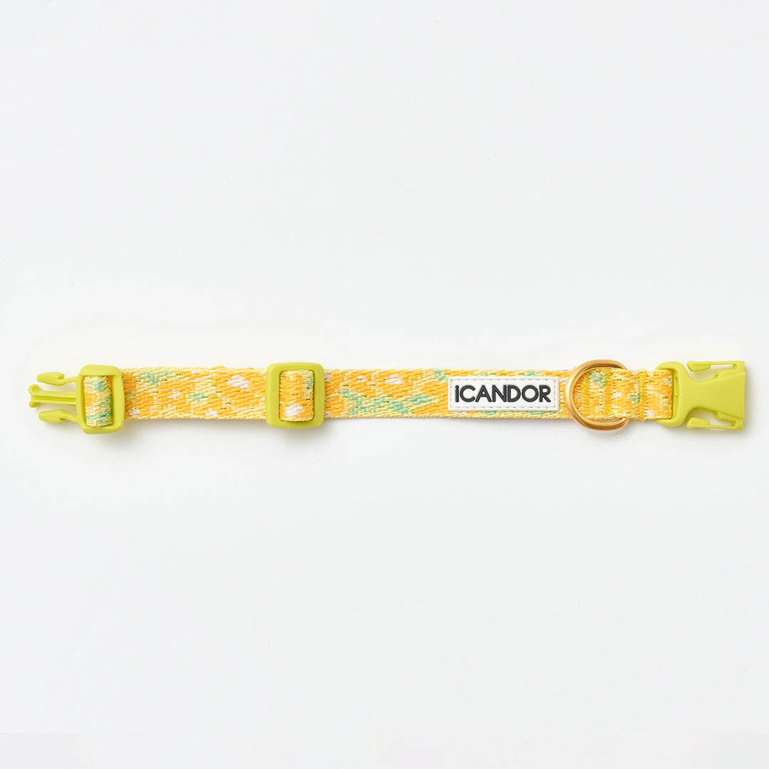 Gentle Collar XS(15mm)_Big Fish Yellow