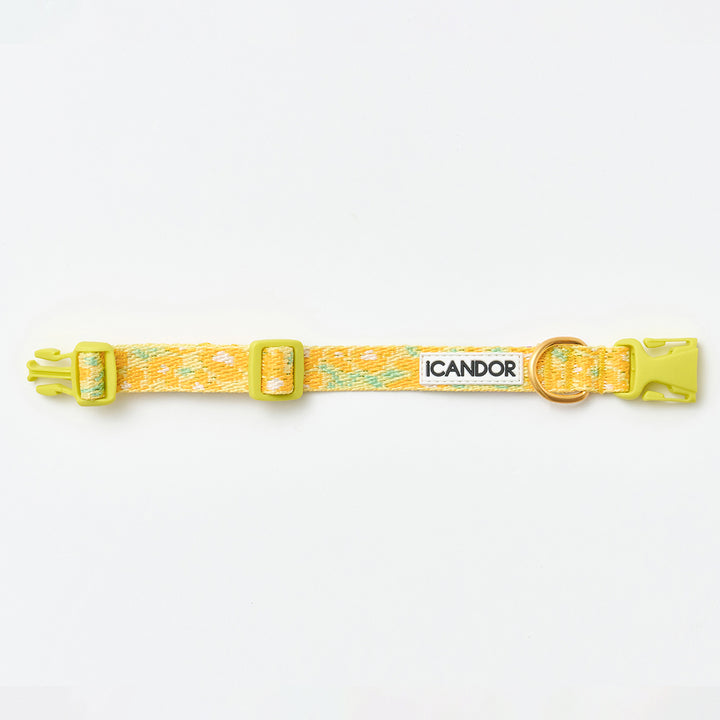 Gentle Collar XS(15mm)_Big Fish Yellow