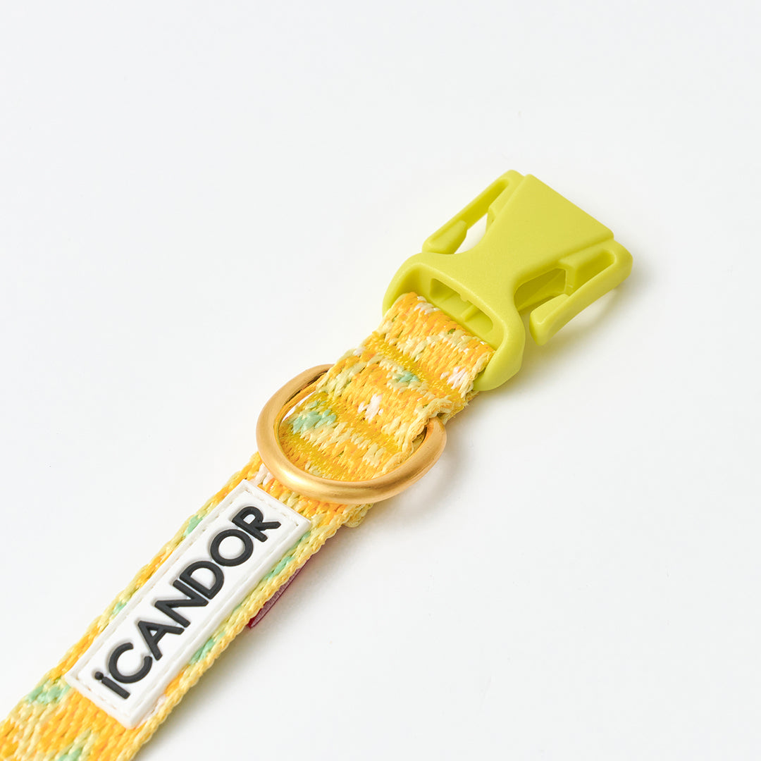 Gentle Collar XS(15mm)_Big Fish Yellow