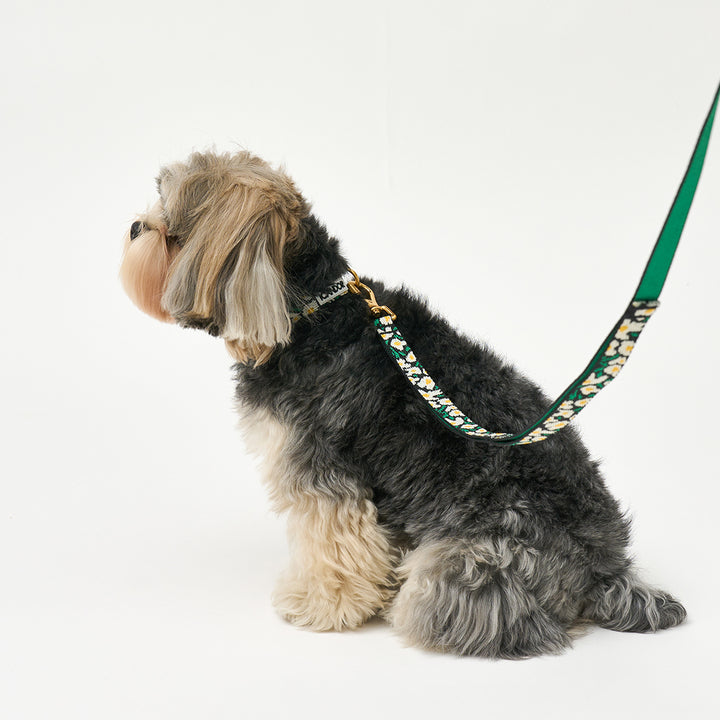 Gentle Leash Bolt, 1.6M (15Mm)_Big Fish