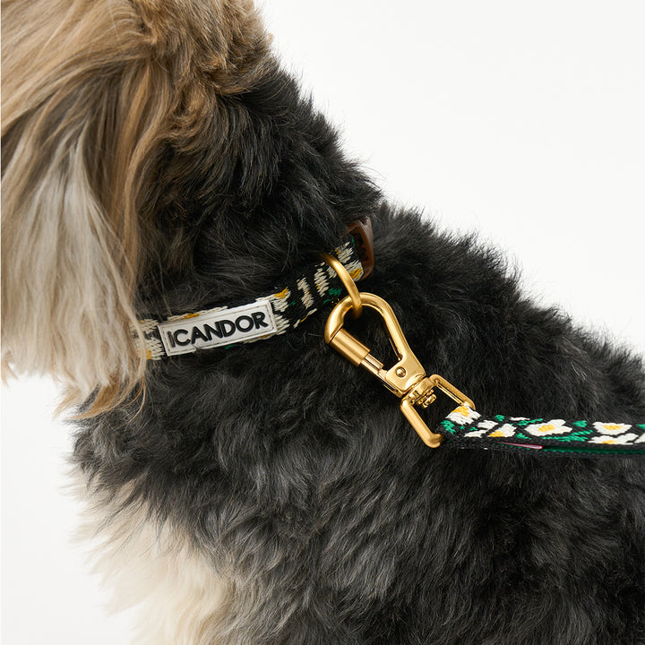 Gentle Leash Bolt, 1.6M (15Mm)_Big Fish