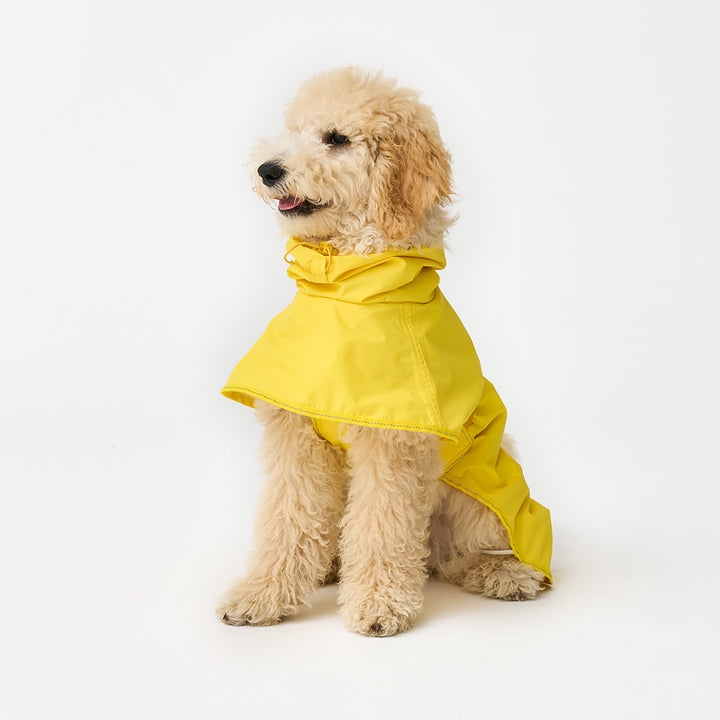 Adventure Raincoat, Earth_Corn Yellow