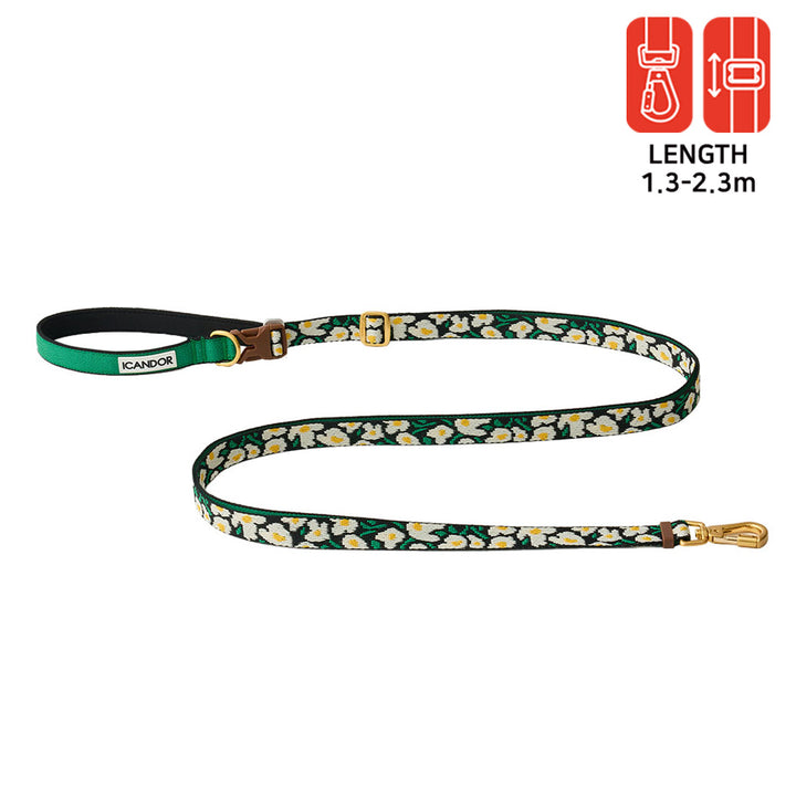 Gentle Leash Bolt, Long_Big Fish