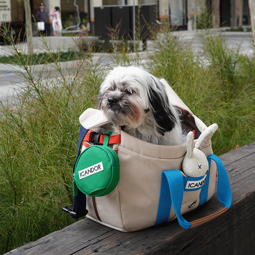 Peek-A-Boo Bag_Melting Cream – iCANDOR Peek-A-Boo Bag_Melting Cream – iCANDOR