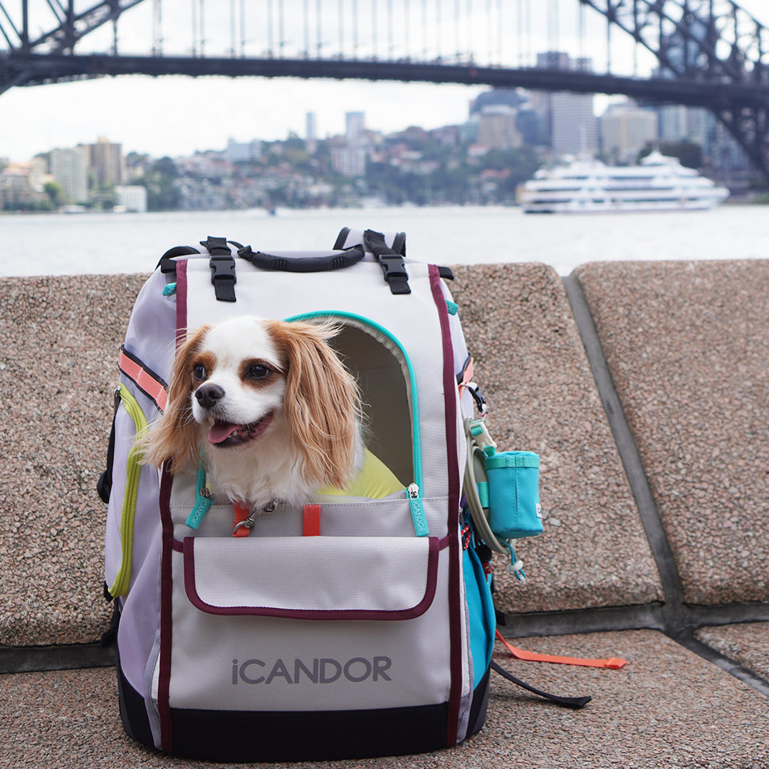 iCANDORのバッグJIGE キャリーバッグ 楽天市場】即納【iCANDOR】JIGE bag（Vivid Khaki） バッグ 犬用バッグ