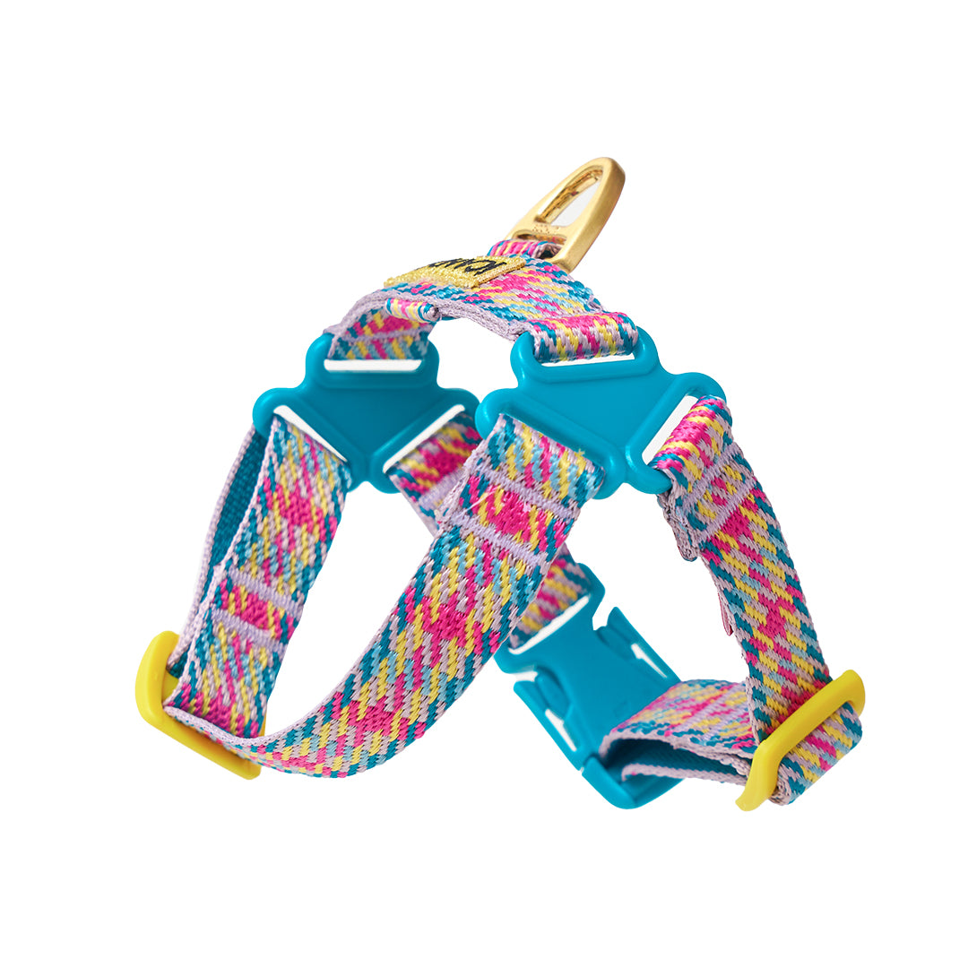 No-Pull Harness_Edinburgh Check